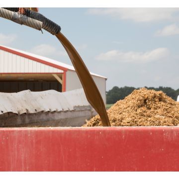 High Sugar, High Energy Molasses for Ruminants (69% DM) | FarmMolasses Range