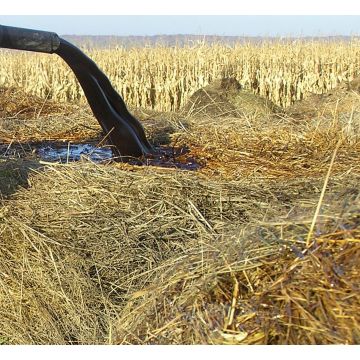 Sugar Molasses for Ruminants (50% DM) | FarmMolasses Range