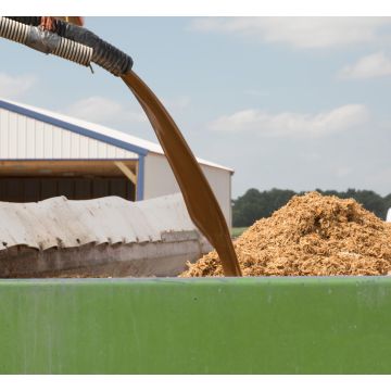 High Sugar, High Energy Molasses for Ruminants (69% DM) | FarmMolasses Range