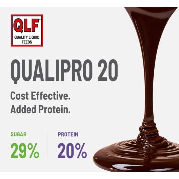 QualiPro 20 - 50% DM. Cost-effective protein and sugar.