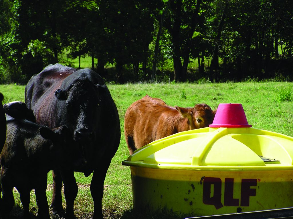 4 Wheel Lick Tank (1000L) Landowner Products