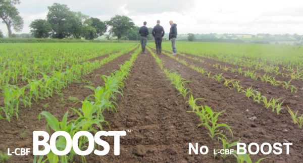 Organic carbon based fertiliser.
