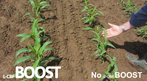 Organic carbon based fertiliser.