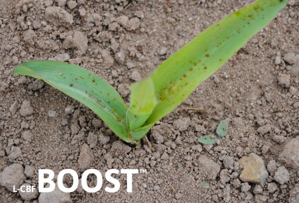 Liquid organic carbon based fertiliser